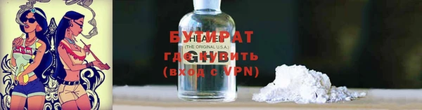 сатива Беломорск