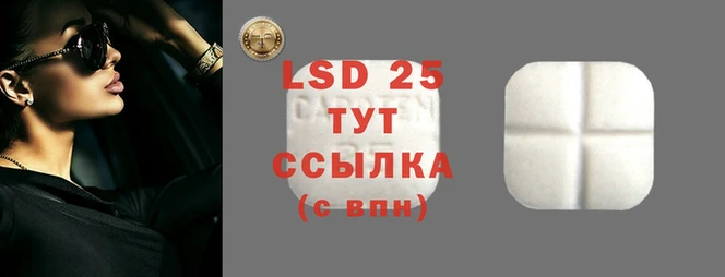ПСИЛОЦИБИНОВЫЕ ГРИБЫ Богородицк