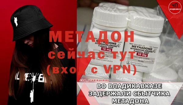 сатива Беломорск