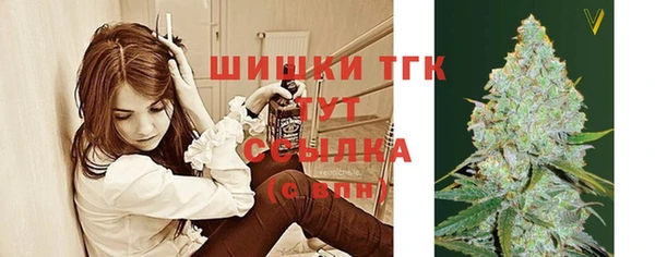 a pvp Богданович