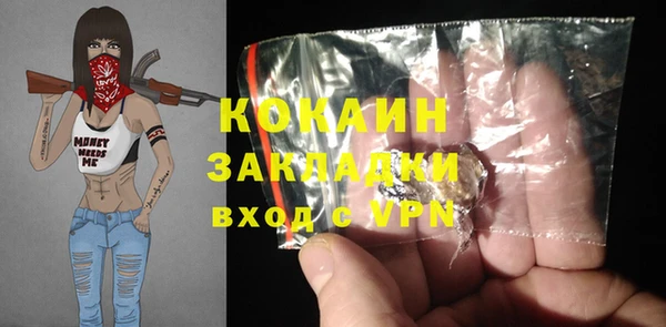 сатива Беломорск